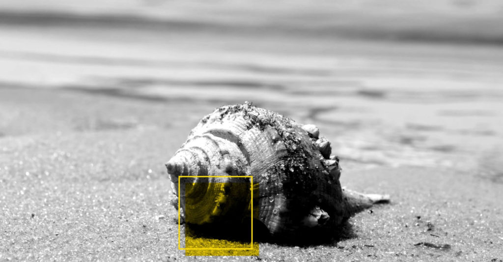 Escuta como diferencial no jornalismo