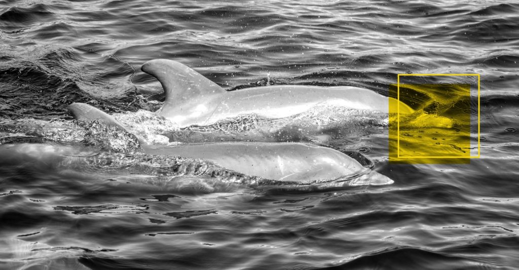 Afetividade: o diferencial do repórter da década de 2030