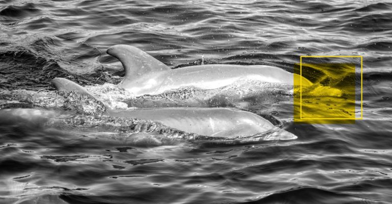 Afetividade: o diferencial do repórter da década de 2030