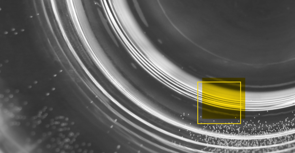 kodak fujifilm jornalismo disrupção fractal