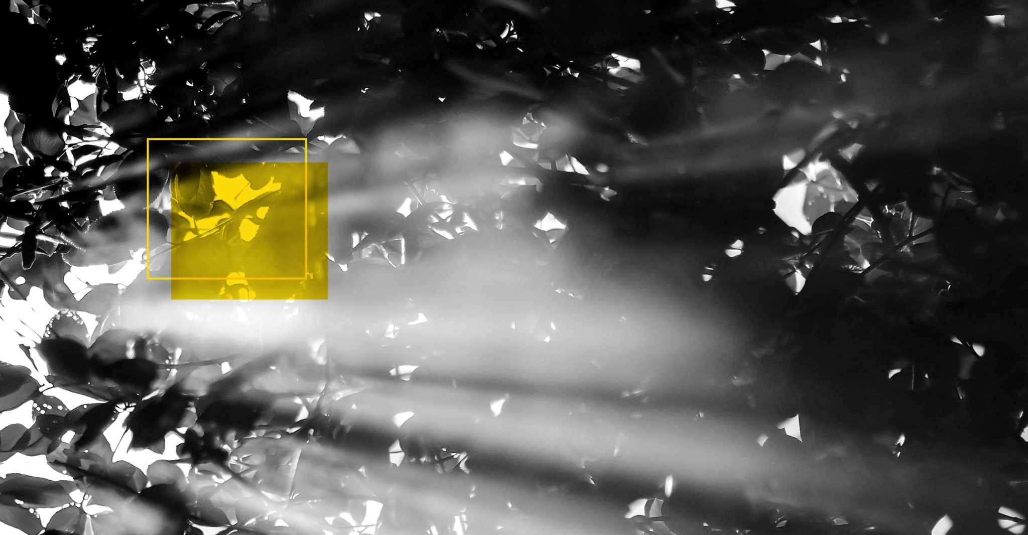 Jornalismo – a urgente reinvenção