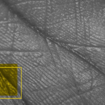 jornalismo em primeira pessoa