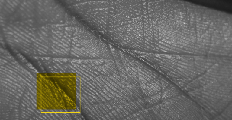 jornalismo em primeira pessoa